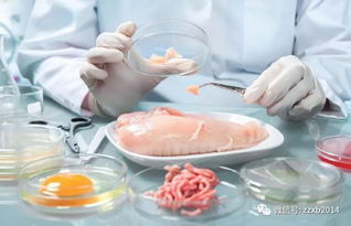 涿州一公司生产的土鸡蛋不合格被通报
